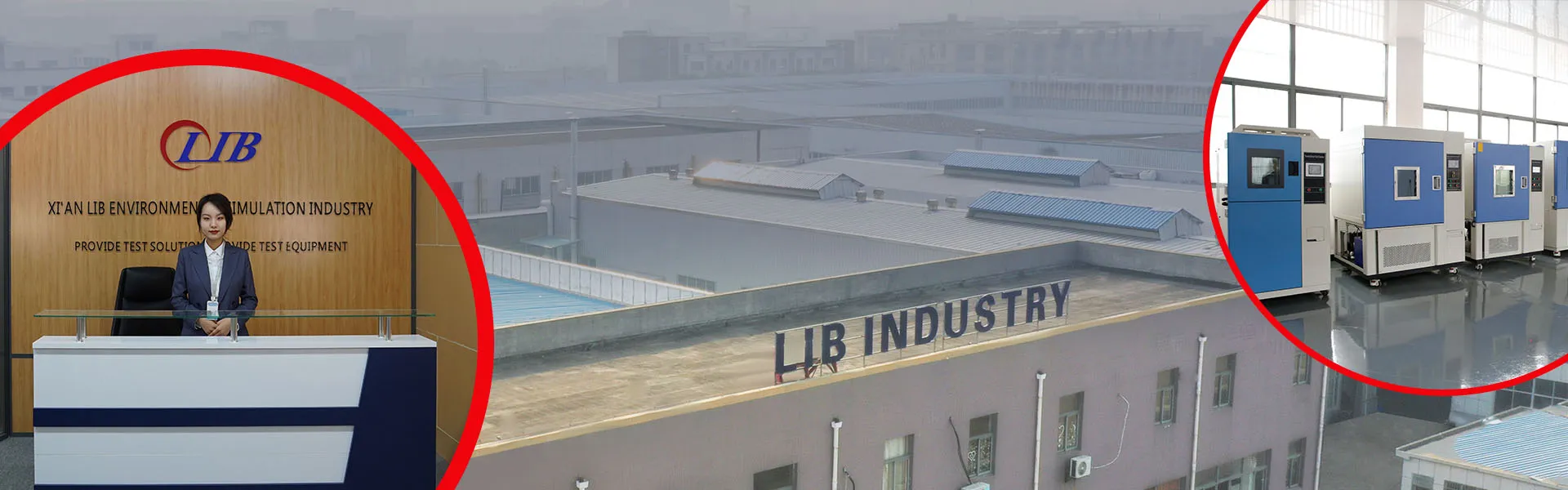 Über die LIB-Industrie